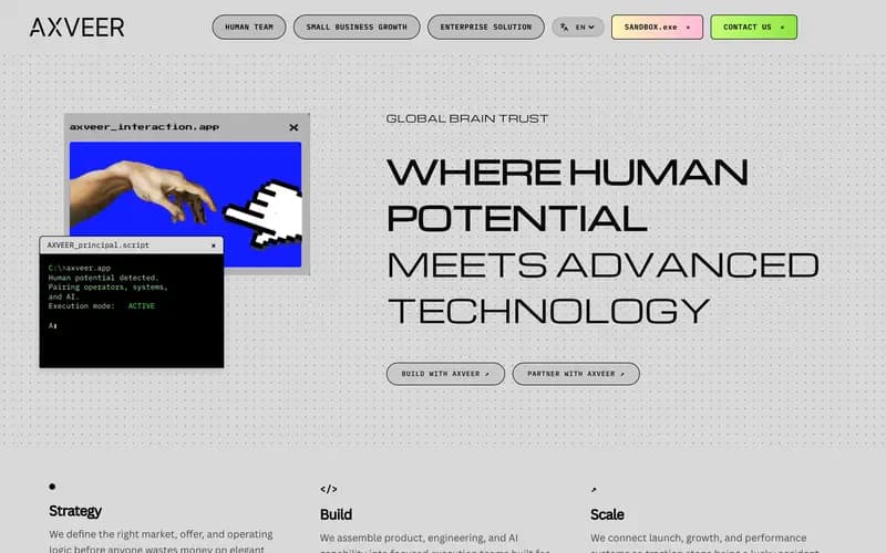 Axveer website preview